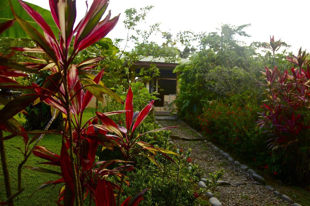 Laureles Collection Uvita - Cabinas Los Laureles エクステリア 写真