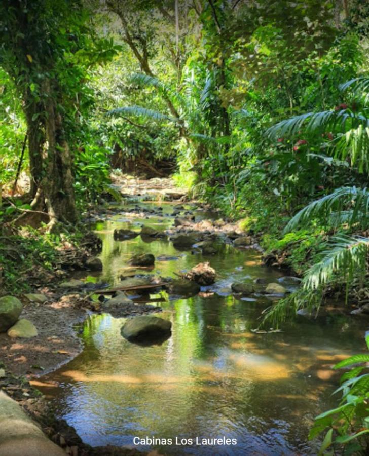 Laureles Collection Uvita - Cabinas Los Laureles エクステリア 写真