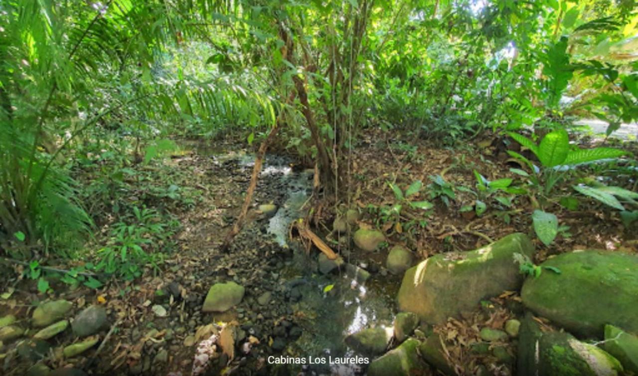 Laureles Collection Uvita - Cabinas Los Laureles エクステリア 写真